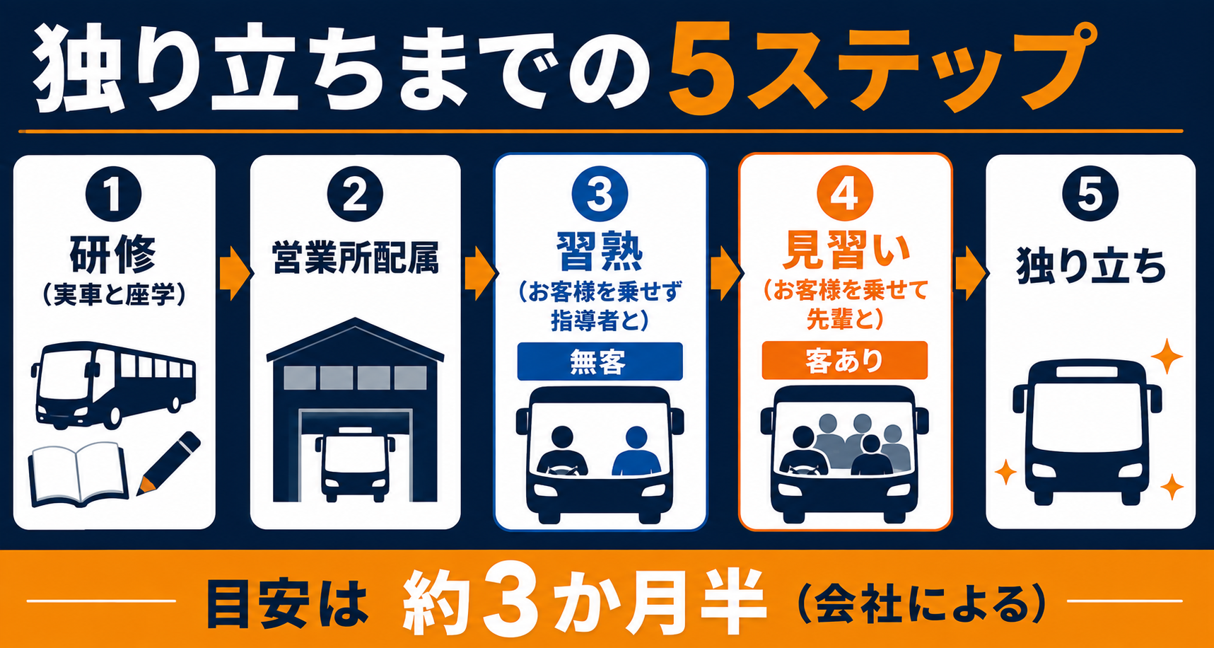 バス運転士が独り立ちするまでの5ステップ。研修(実車と座学を並行)→営業所配属→習熟(無客で指導者と乗る)→見習い(お客様を乗せて先輩と乗る)→独り立ち。目安は約3か月半